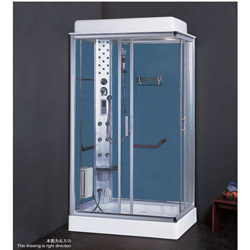 2019 new steam room with coated glass ZD-8012